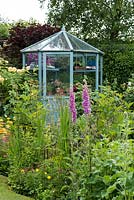 A cottage garden border with foxgloves, aquilegia and eupatorium in front of a green house with a painted wooden frame.