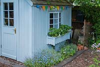 A painted children's shed with window box growing strawbery plants.