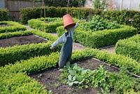 A scarecrow stands in one of eight raised beds edged in box hedges, in a vegetable potager.