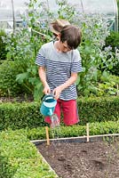 Oscar Isaac, 9, waters newly planted seeds in his vegetable patch.