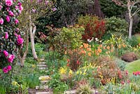 A colourful spring garden with mixed border of tulips, daffodils and ornamental grasses.
