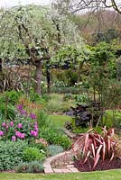 A spring garden with mixed borders and path leading to Pyrus salicifolia 'Pendula'.