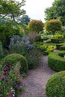A suburban garden with a circular structure created by shaped box and paving sets. Two Photinia x fraseri standards divide the garden and provide height. Deep borders include mixed planting of Campanula, Knautia, Allium, Alchemilla, Clematis and ornamental grasses.