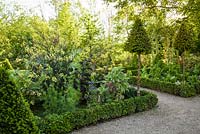 Formal, ornamental potager with box hedges, box cones and yew lollipops and beds with cabbages and salad - May, Herrenmühle Bleichheim