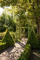 Gravel path bordered by formal box hedges and cones leading to a pavilion covered in variegated ivy and Juglans regia - May, Herrenmühle Bleichheim