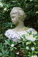 An ornamental stone bust plant amongst a white Pieris bush.