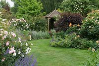 The Glade - a curving grass path leads to a wooden summer house through mixed borders of geraniums, nepeta, virburnum and Rosa 'Tall Story', 'Felicia', 'Geoff Hamilton', 'Whisky Mac', 'Sweet Juliet'.