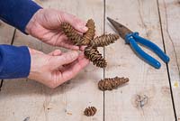 Wrap the wire around the bottom of the Pine cones