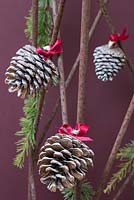 Pine cones with red ribbons used as hanging decorations