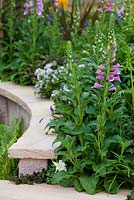 Detail of a curved sandstone garden wall. Garden planted with Digitalis purpurea and Aquilegia vulgaris
