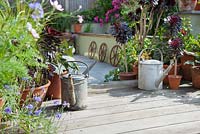 Watering cans on decking with potted plants in urban back garden