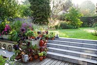 View of back garden showing pots, steps, watering cans and decking, summer borders beyond and lawn