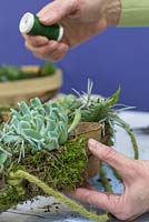 Use the florist wire to secure the Moss and Succulent planting to the wreath frame