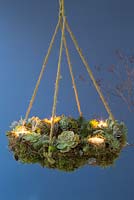 A Succulent hanging wreath, planted with a variety of Succulents, Moss and Candles
