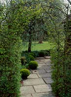 Paved path sweeping under Carpinus betulus -  hornbeam arch, edged with Box - buxus sempervirens balls