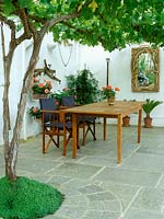 Indoor conservatory with vitis, pelargonium  in pots, antique tool collection, plumbago auriculata - cape leadwort, wooden table and chairs