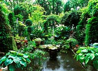 Italianate courtyard - arum lilies, hosta, papyrus, buxus and cordylines, Navarino Road, Hackney, Owner: John Tordoff, June