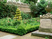 Knot garden with ilex spiral topiary, clipped buxus. Walled garden at Tradescant garden  - Museum of garden history - with William Blights tomb.