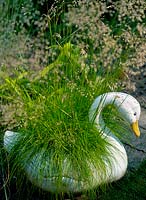Ornamental swan container planted with Deschampia 'Tatria Gold'