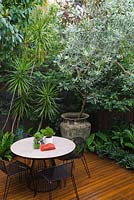Modern courtyard garden with dining area, showing large 'Atlantis' pot with Magnolia grandiflora,  Dracaena marginata at left and white pot on table contains Crassula ovata 'Gollum' and Rhipsalis. Table and chairs by 'Made by Tait'. 