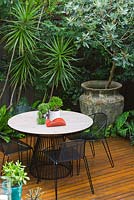 Modern courtyard garden with dining area, showing large 'Atlantis' pot with Magnolia grandiflora,  Dracaena marginata at left and small white pot on table contains Crassula ovata 'Gollum' and rhipsalis. Table and chairs by 'Made by Tait'. 