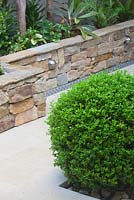 Buxus ball with detail of small courtyard featuring natural dry stone garden bed wall by Eco Outdoor with plantings of Blechnum fern and variegated Cordyline 'Pink Diamond' 
