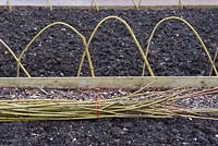 Laying willow sticks around the edge of a vegetable garden - February - Surrey