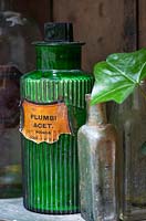Old medicine bottle on shelf with Hedera helix, Lucille Lewins, small office court yard garden in Chiltern street studios, London. Designed by Adam Woolcott and Jonathan Smith 