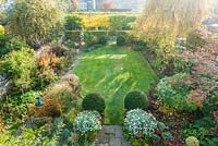 Aerial view of formal town garden in early autumn with box topiary, Argyranthemum foeniculaceum in containers on patio.
