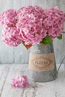 Pink Hydrangeas in a zinc jug