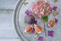 Autumn tinted Hydrangeas arranged on a zinc tray with Figs in September