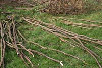 Different bundles of Hazel sticks organised for use as Pea sticks, Stakes, Hazel canes, Craft wood and Bean sticks