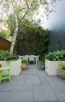 Inner city courtyard with small dining area and fence covered with Phylostachys nigra, black bamboo, in foreground concrete planters and timber bench seen. Planters contains Renga lily, Blechnum fern and Philodendron 'Xanadu' at it's base. Large Betula pendula Silver birch tree seen