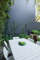 Casual dining setting in inner city courtyard garden. Garden contains various ferns and shade loving plants. Phylostachys nigra, black bamboo on side wall and wall behind mounted clothesline covered with Tricuspidata Boston ivy