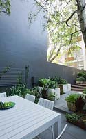 Inner city courtyard with small dining area, concrete planters and pots planted with various shade loving green foliage plants