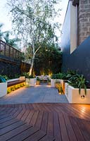 View from timber decking at rear of house in inner city courtyard. Raised planters contain Renga lily and other green foliage plants. Illumination in various parts of the garden. 