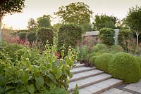 Contemporary steps through Red Valerian - Centranthus ruber, Stipa gigantea, clipped Buxus sempervirens, Phlomis russeliana with mature beech Fagus sylvatica columns. 