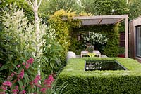 Clipped box hedge around Infinity pool with white Astilbe, Red Valerian, Silver Birch trees with covered seated area for entertaining beyond