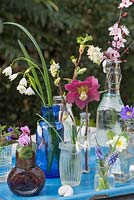 Miniature glass jar display featuring Hellebore, Snowdrops, Cyclamen, Muscari, Primula and Cherry blossom