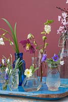 Miniature glass jar display featuring Hellebore, Snowdrops, Anemone, Muscari, Primula and Cherry blossom