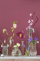 Miniature glass jar display featuring Hellebore, Snowdrops, Muscari, Primula, Anemone and Cherry blossom