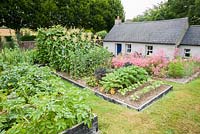 Raised beds between the house and the tea room are used to grow a range of vegetable and salad crops including sweetcorn, potatoes and curly kale, with an ornamental border of pink Diascia personata behind. The Bay Garden, Camolin, Co Wexford, Ireland