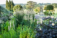 Box edged beds at the top of the double summer herbaceous borders designed by Xa Tollemache feature dark leaved Dahlia 'Twyning's After Eight', Veronicastrum virginicum 'Album',  Verbena bonariensis, Nicotiana sylvestris and campanulas. Castle Hill, Barnstaple, Devon, UK