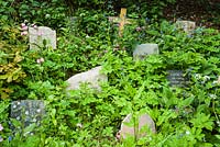 The pets' graveyard, the resting place of much loved dogs of preceding decades including Jock, the faithful bearded collie.