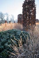 Miscanthus sinensis 'Starlight', Sarcococca confusa and Fagus sylvatica - common beech, pleached cubes with leaves covered with frost in winter