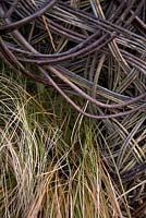 Sculptured willow and grass. The John Joseph Mechi Garden, Designer: Benjamin Wincott, Chelsea 2010


