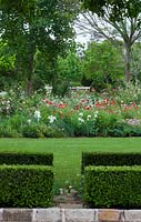 Entrance to lawn and flower garden through two clipped Buxus, box hedges. The flower garden is planted with Iris, bearded iris, Papaver rhoeas and Rosa, roses and is framed by trees.