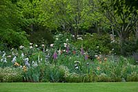 View of flower garden with lawn in the foreground and trees in the background featuring Flanders poppies, white daisies, foxgloves and roses 