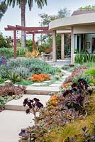 View across concrete path and mixed beds to modern house and outside eating area.  Debora Carl's garden, Encinitas, California, USA. August.