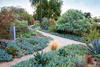 View of path winding through mixed borders containing succulents and cactus. Debora Carl's garden, Encinitas, California, USA. August.